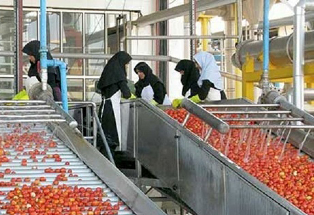 فرآوری بیش از 127 هزار تن محصول کشاورزی در استان