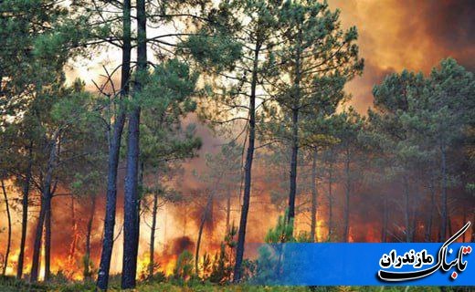 احتمال آتش سوزی در جنگل های مازندران