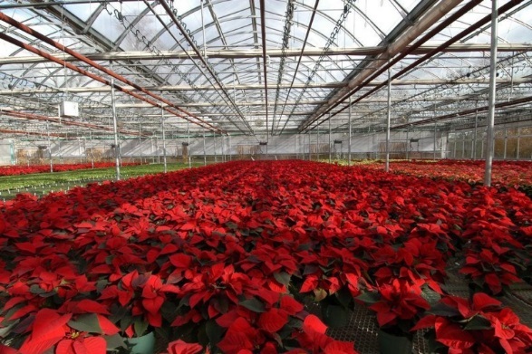 تردد سالانه ۲۰ میلیون نفر از پاکدشت/زیرساختهای قطب گردشگری در جنوب شرق استان تهران فراهم میشود