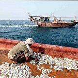 افتتاح شش پروژه شیلاتی هرمزگان با اعتباری بالغ بر ۴۳۰ میلیارد تومان