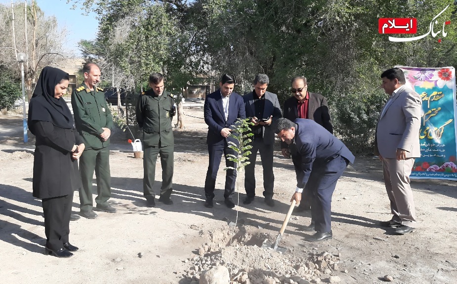 کاشت نهال سلامت در بیمارستان شهدا دهلران